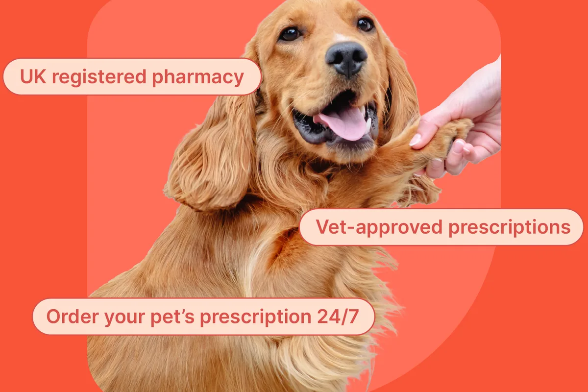 After: the strengthened Pharmacy2U content experience